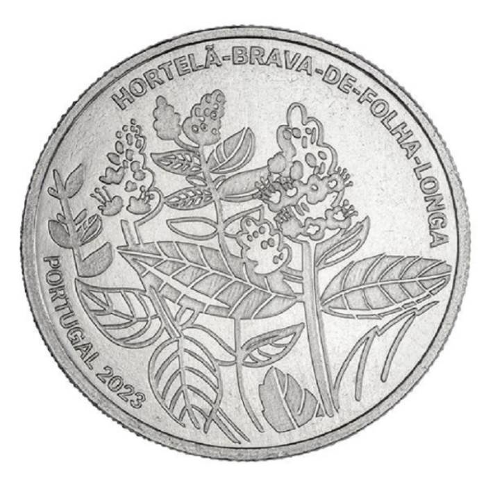 5&euro; 2023 Hortelã-brava-de-folha-larga