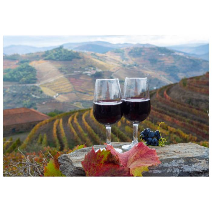 Vinho do Porto - Alto Douro Vinhateiro MECZ 2023-1 (perfurada PINF 20 de maio 2023)